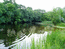 В лесу у реки. АВторское Фото Светланы