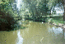 Река Ревуха с мостика. Глубина ели достигаеть 2-4 метров.
